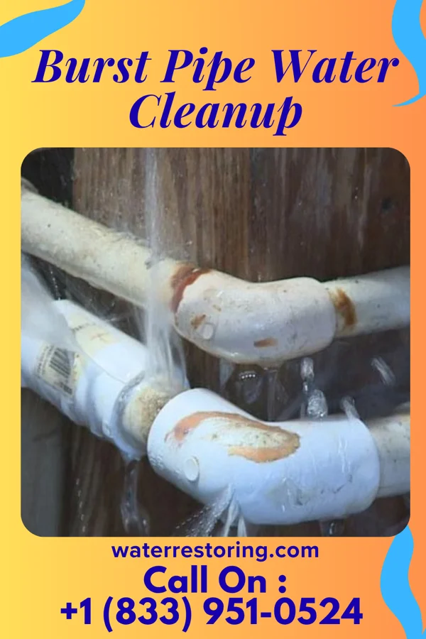 Burst Pipe Water Cleanup in Anmoore, WV