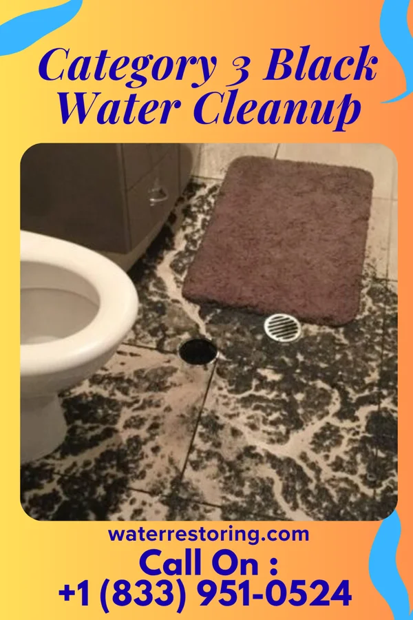 Category 3 Black Water Cleanup in Anmoore, WV