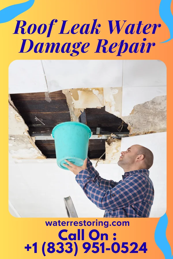 Roof Leak Water Damage Repair in Anmoore, WV