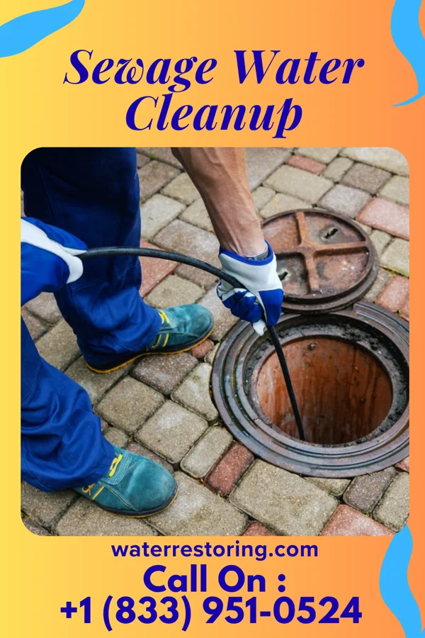 Sewage Water Cleanup in Anmoore, WV